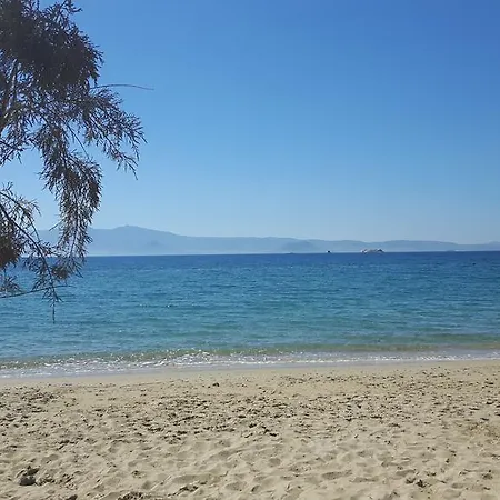 Naxos Sea Front Houses 3*